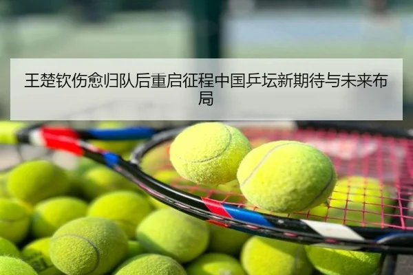 王楚钦伤愈归队后重启征程中国乒坛新期待与未来布局