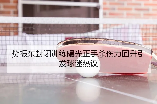 樊振东封闭训练曝光正手杀伤力回升引发球迷热议