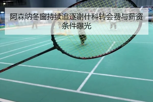 阿森纳冬窗持续追逐谢什科转会费与薪资条件曝光